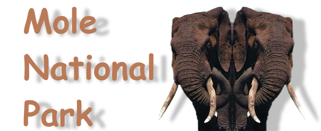 National Museum of Ghana website